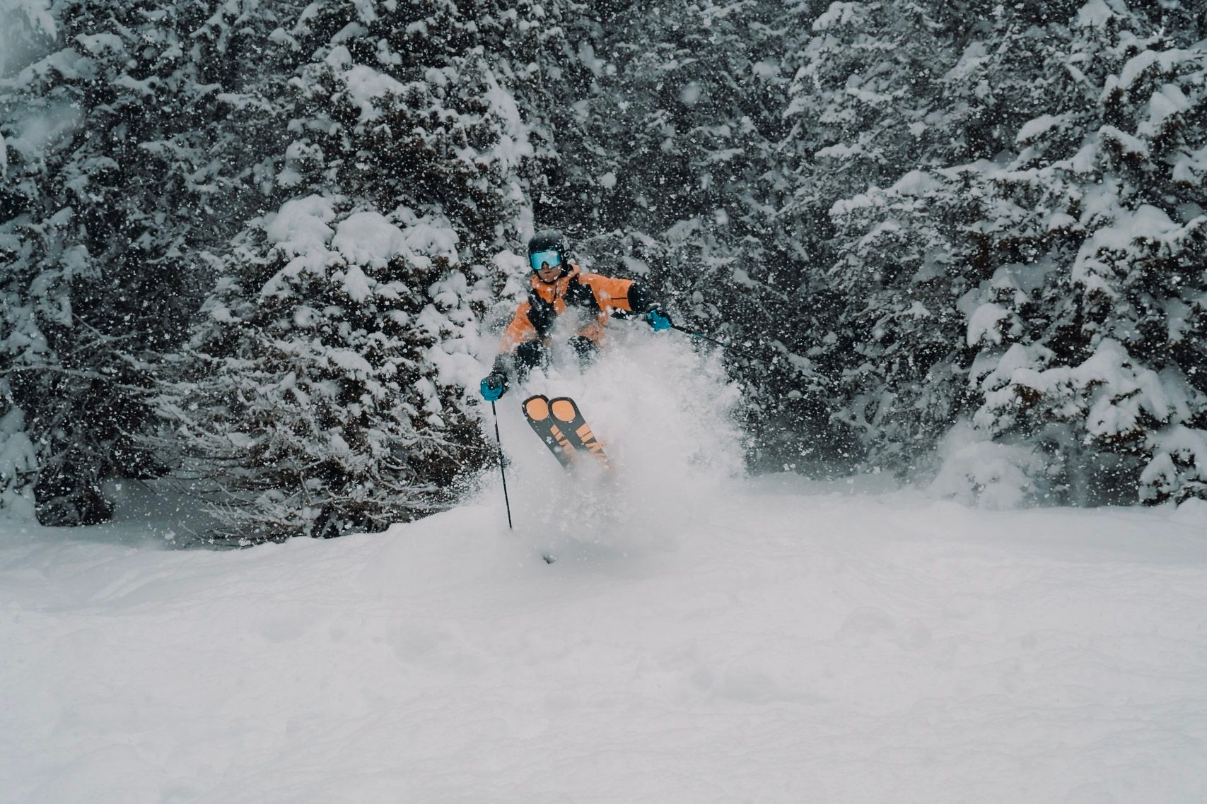 Freerider in oranger Jacke fährt durch tiefen Pulverschnee zwischen verschneiten Tannen